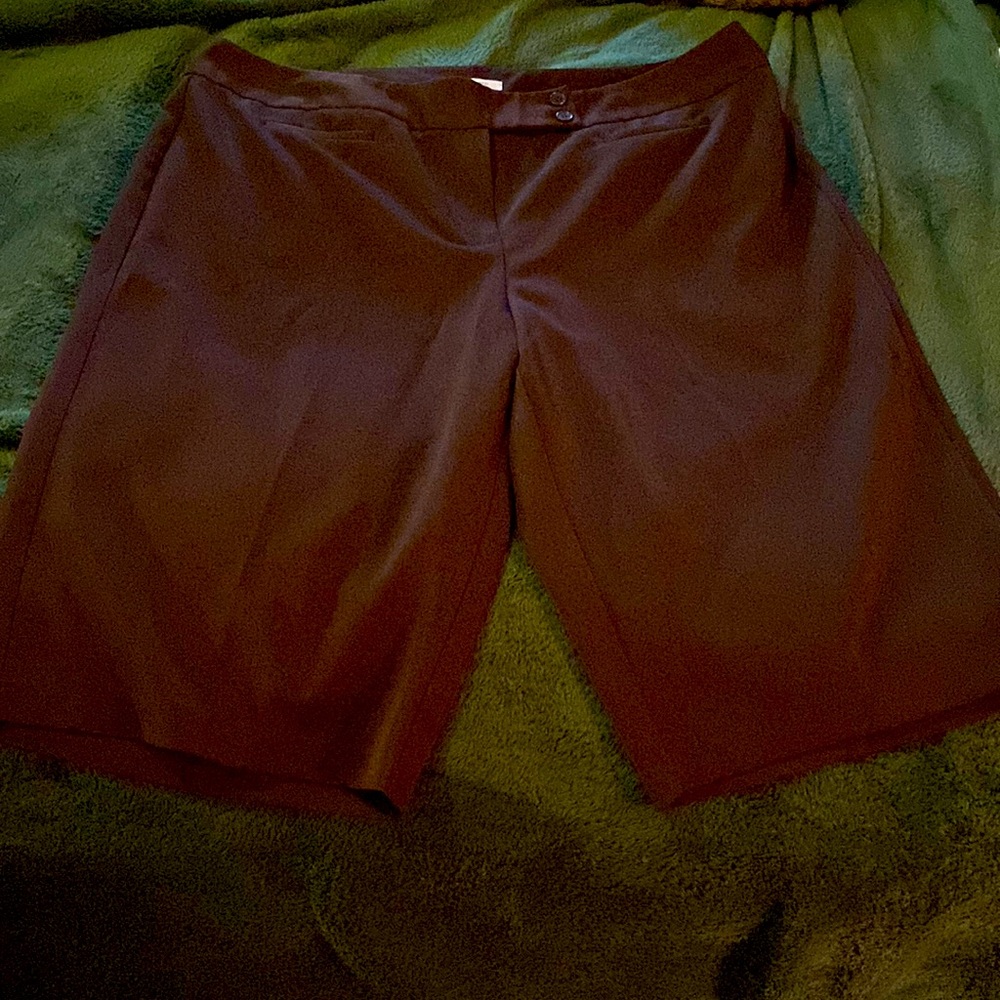 Short, brown dress pants. Great condition! Dress Barn size 20w
